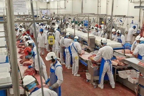 英国食品厂再现疫情，科学防护下肉类仍可安全食用